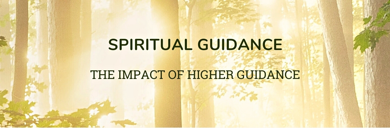 Tree of Light - 4. Spiritual Guidance - The impact of Higher Guidance